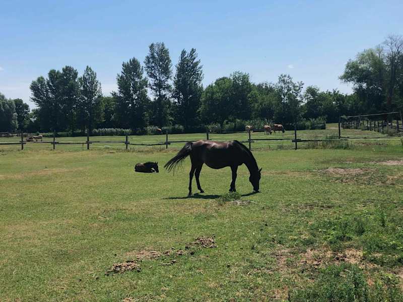 Burgenland Extrem Sommer 2021