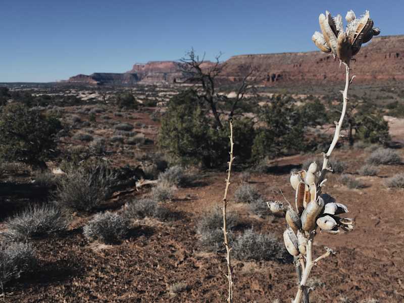 Ana Zirner Colorado River