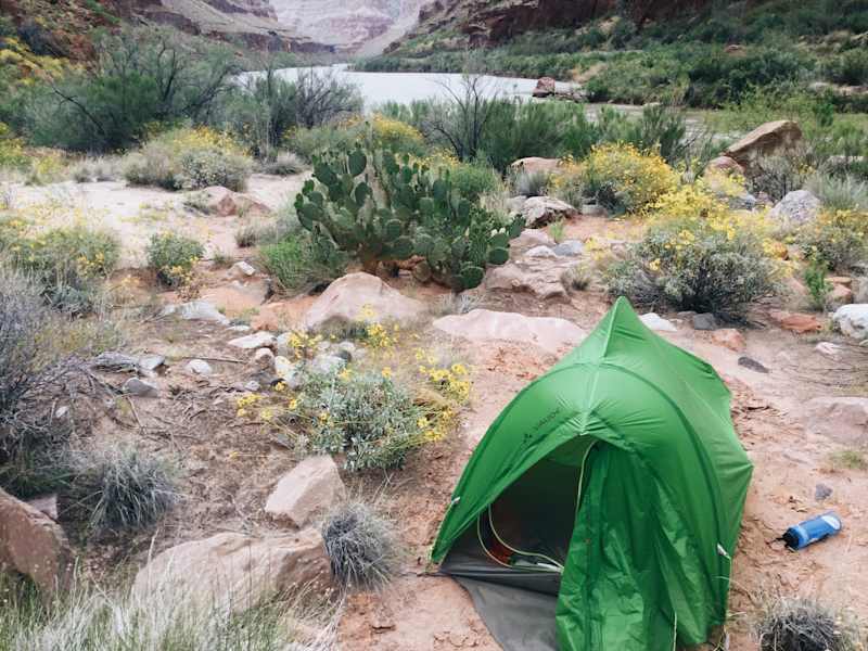 Ana Zirner Colorado River
