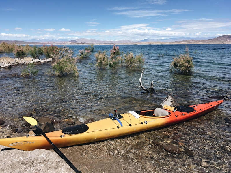 Ana Zirner Colorado River