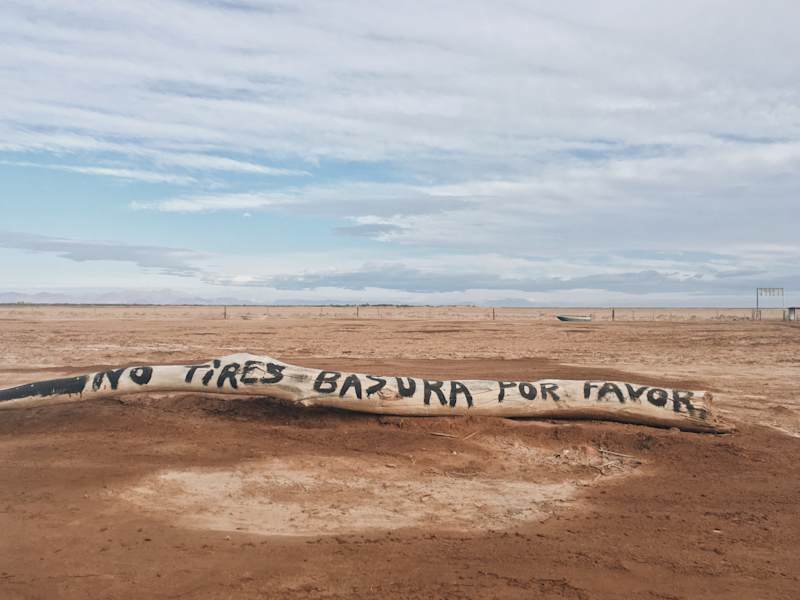 Ana Zirner Colorado River
