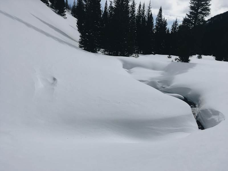 Ana Zirner Colorado River