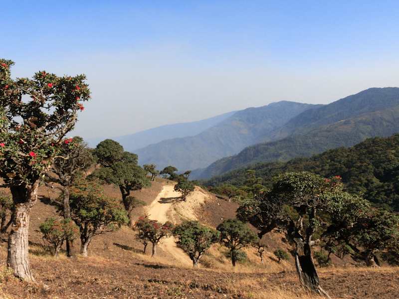 Myanmar Wandern Mt. Victoria