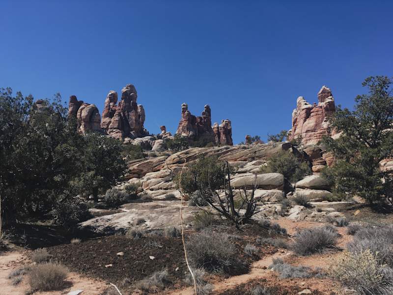 Ana Zirner Colorado River