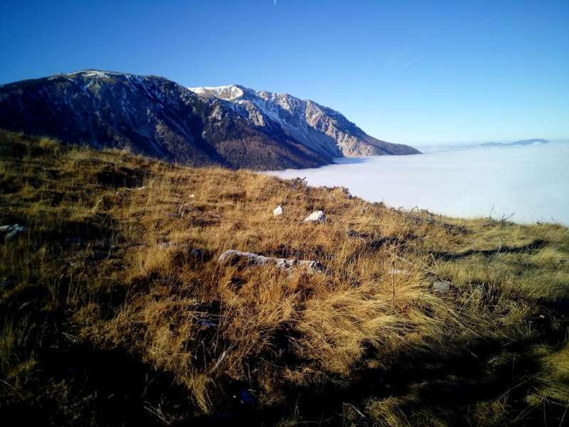 Nordseite des Schneebergs