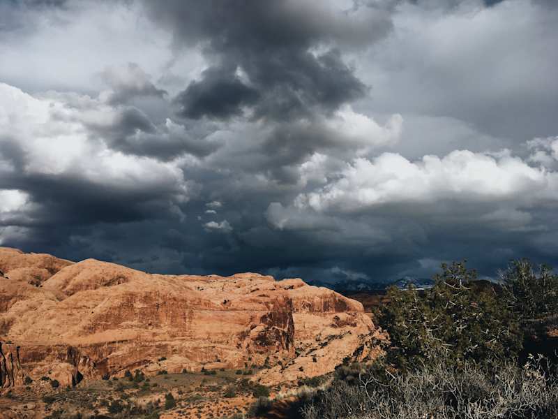 Ana Zirner Colorado River