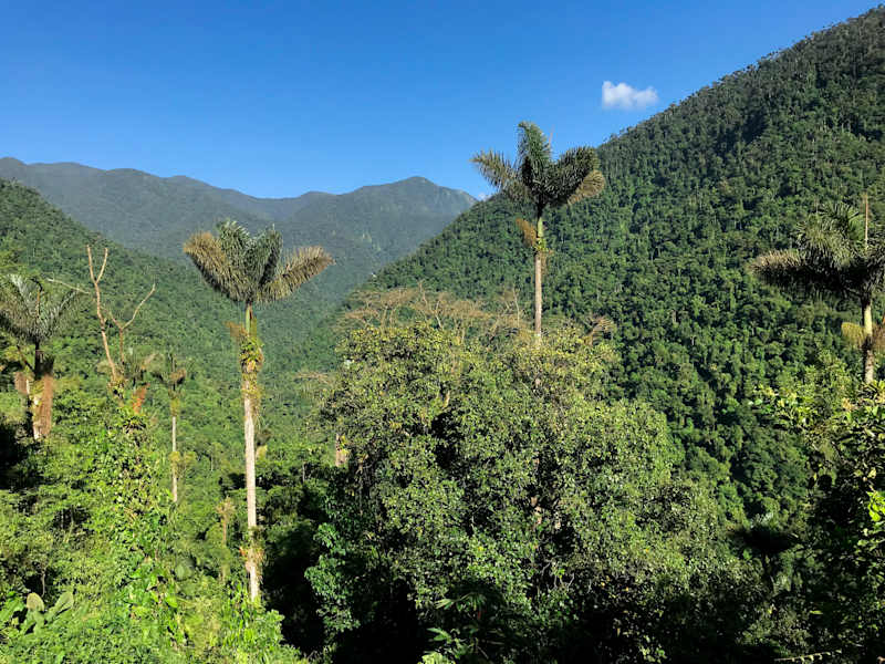 Kolumbien Trekking Ciudad Perdida