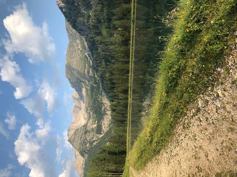 Morgenstimmung am Teichelboden