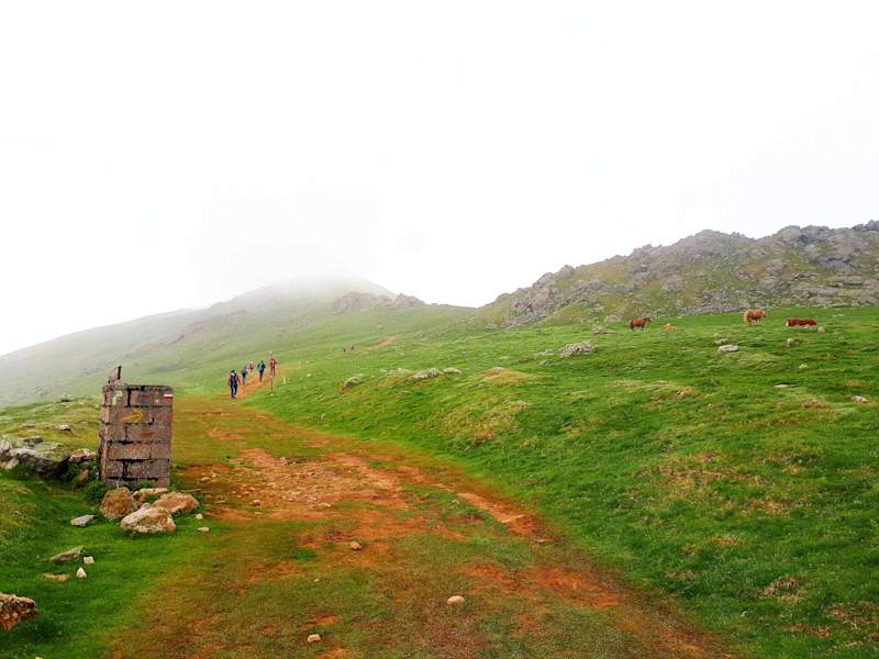 Jakobsweg Jessica Fuchs