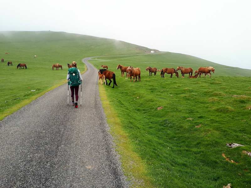 Jakobsweg Jessica Fuchs