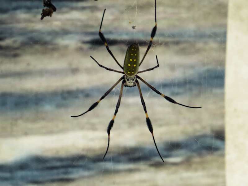 Nationalpark Cahuita Costa Rica