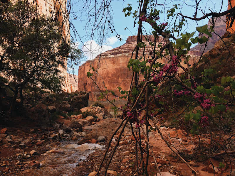 Ana Zirner Colorado Grand Canyon