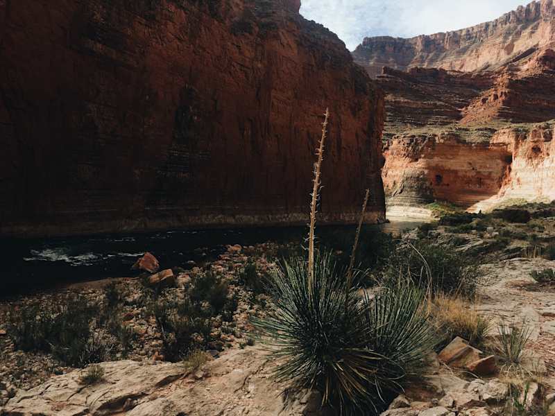 Ana Zirner Colorado Grand Canyon