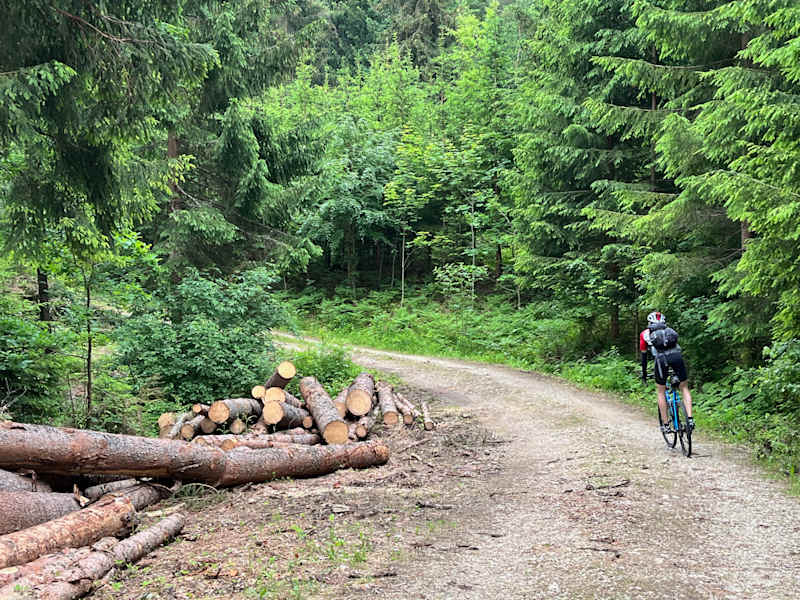 Gravelbiken Kärnten Wörthersee
