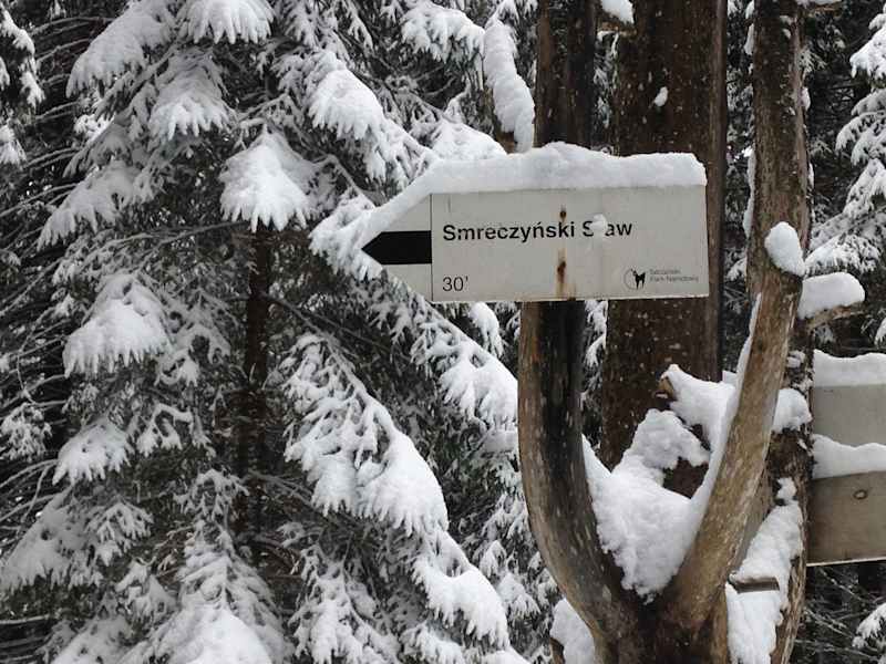 Zakopane Tatra Polen