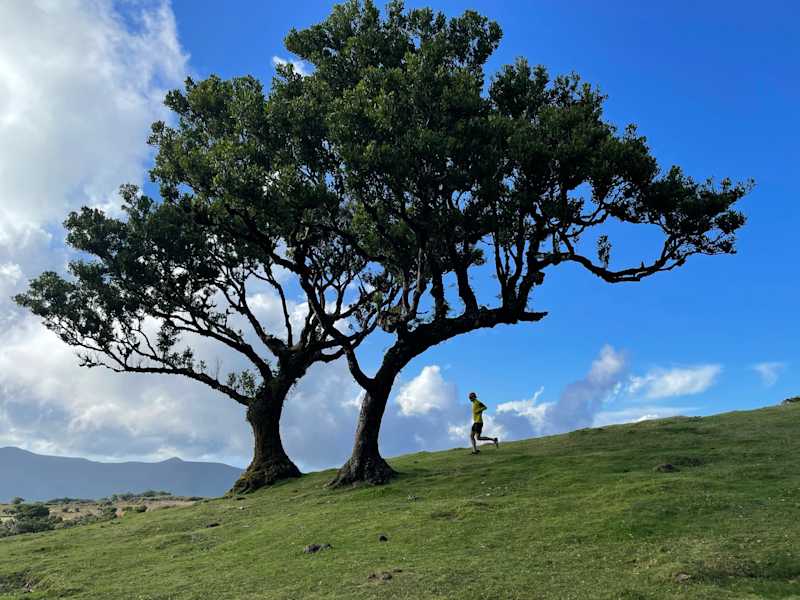 Trailrunning auf Madeira