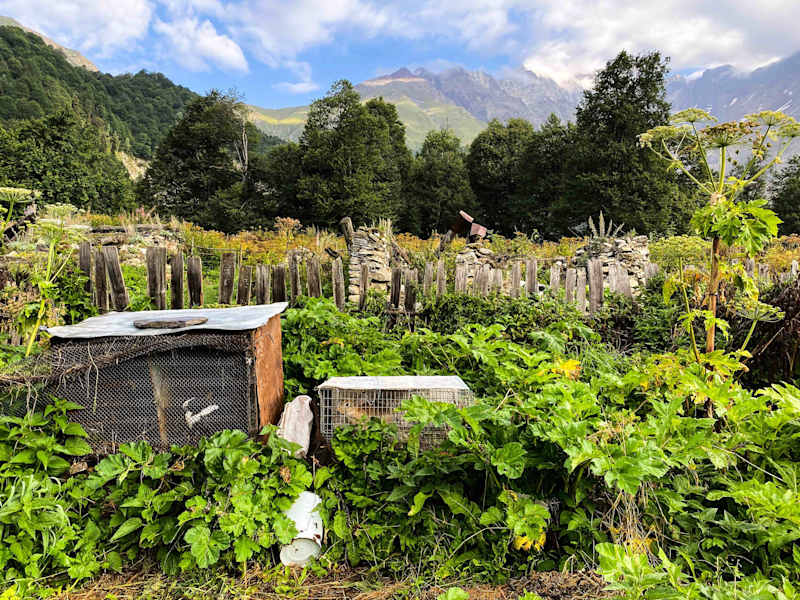 Ana Zirner im Kaukasus: Rauhes Racha – Im Wilden Westen Georgiens