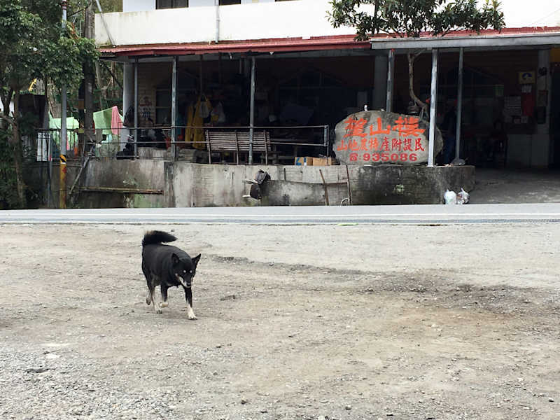 Taiwan Reise Lisong Hotspring Martin Foszczynski