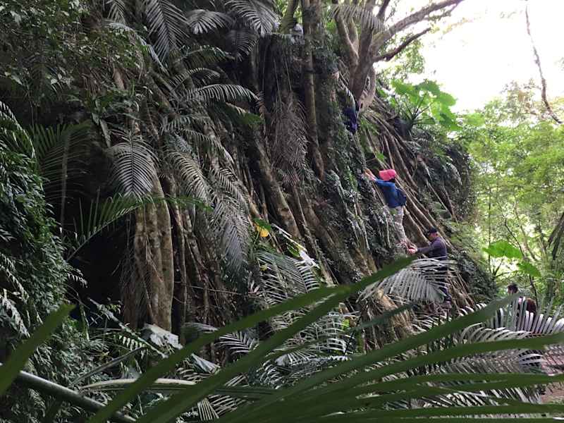 Luan Shan Forest Museum Taiwan Blog Martin Foszczynski