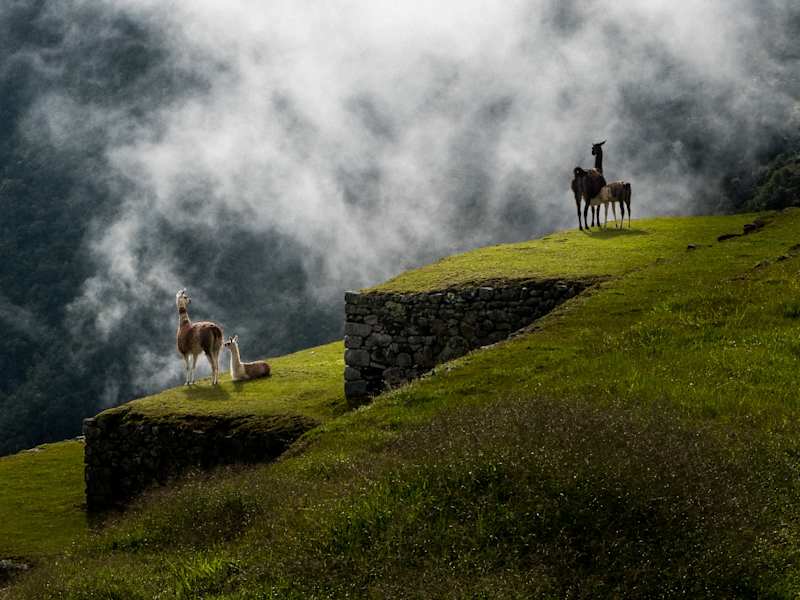 Machu Picchu Peru Reise