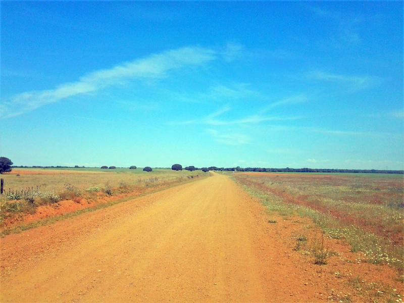 Nikolas Haugeneder Jakobsweg