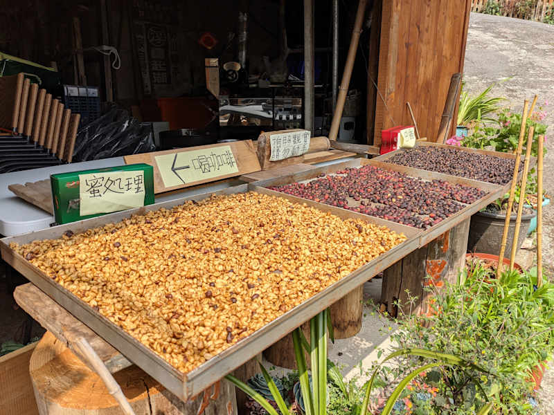 Taiwan Yushan Wandern