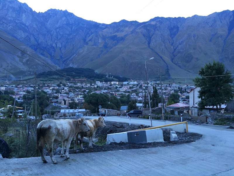 Reise - Wandern in Georgien 