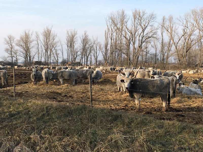 24 Stunden Burgenland Extrem Lakemania