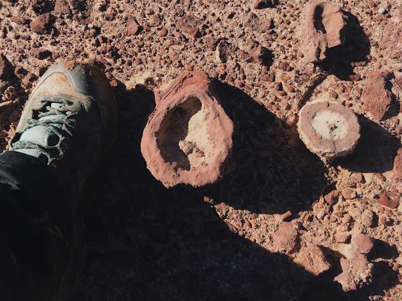 Ana Zirner Colorado River