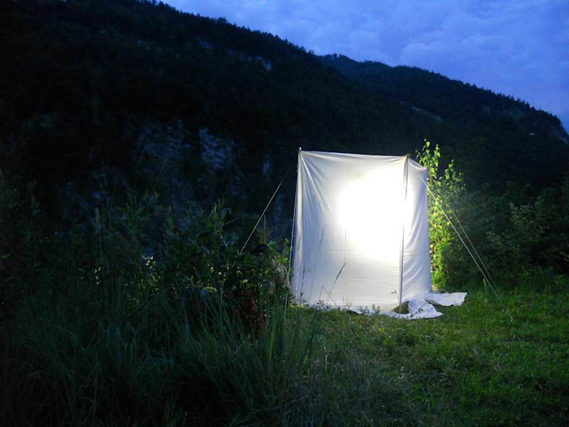 Schmetterlinge Tiefenbachklamm