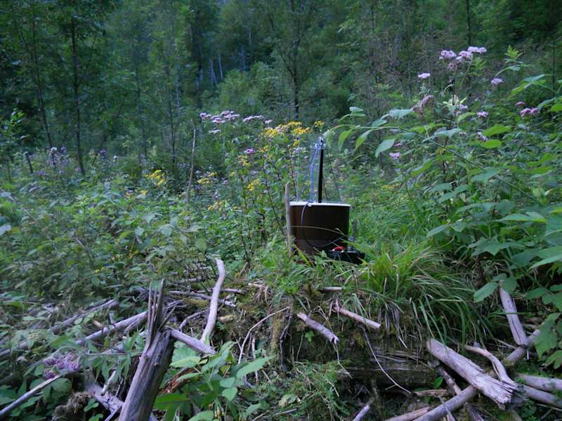 Schmetterlinge Brandenbergtal