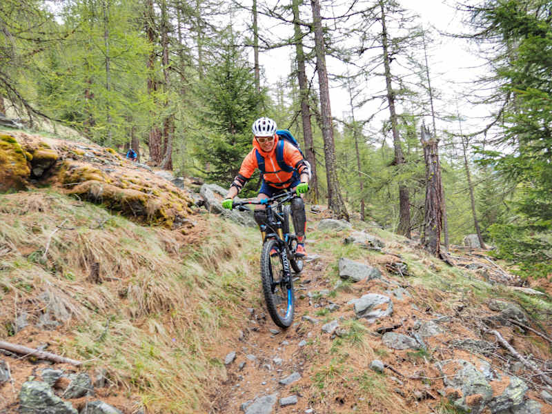 Terrex Zermatt Experience Matterhorn