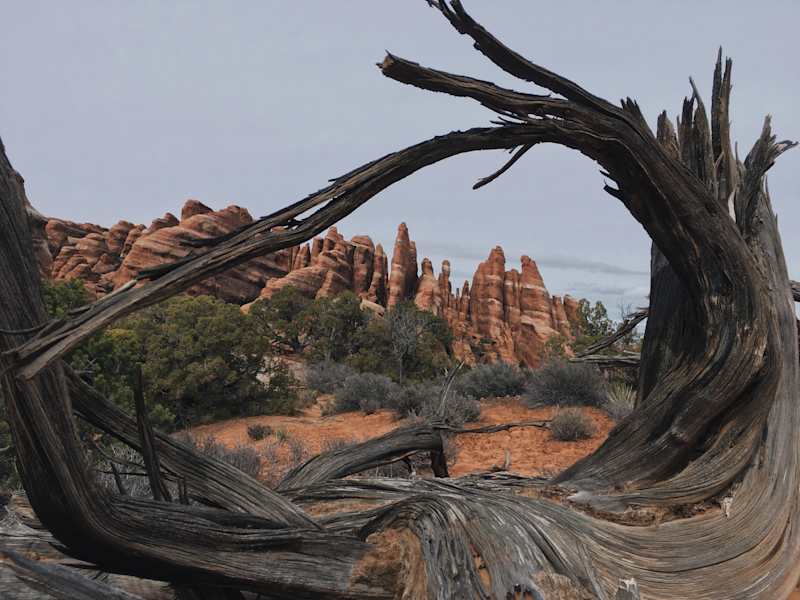 Ana Zirner Colorado River