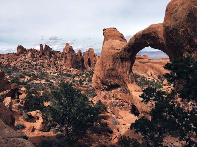 Ana Zirner Colorado River