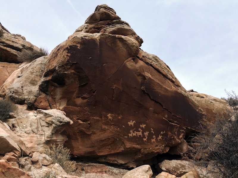 Ana Zirner Colorado River