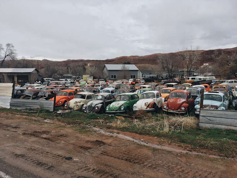 Ana Zirner Colorado River