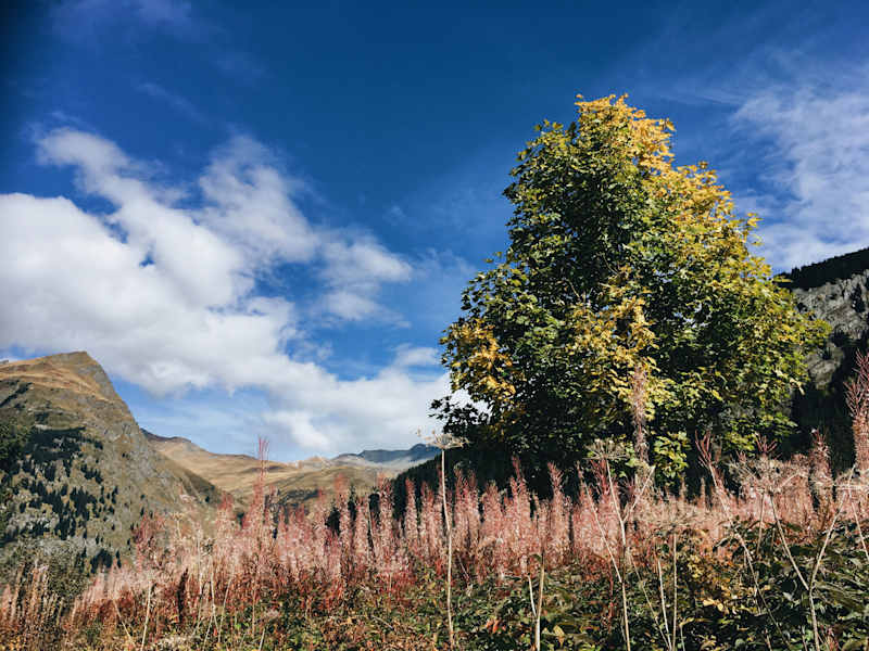 Ana Zirner Alpenüberquerung