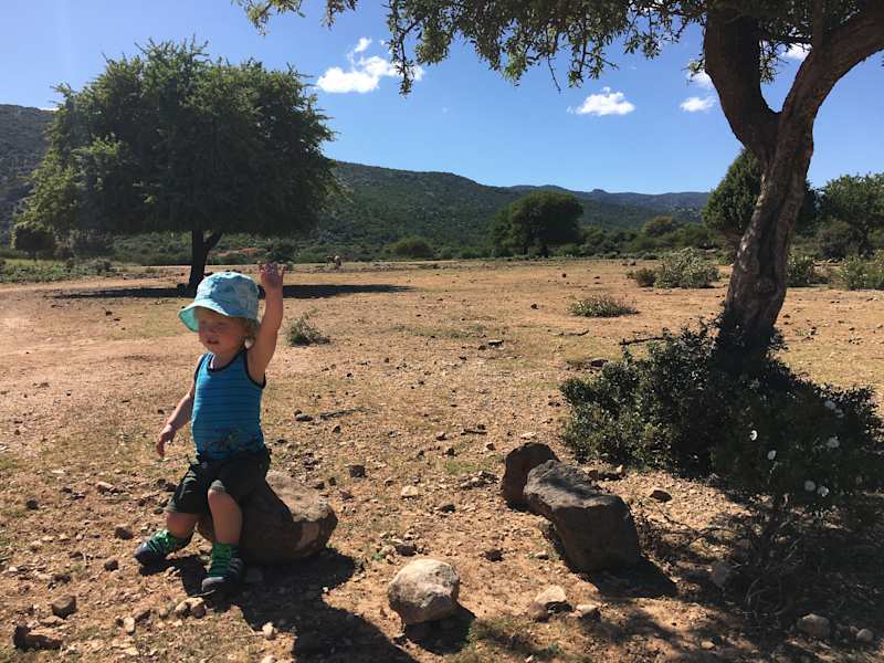 Campingreise mit Kindern VW California