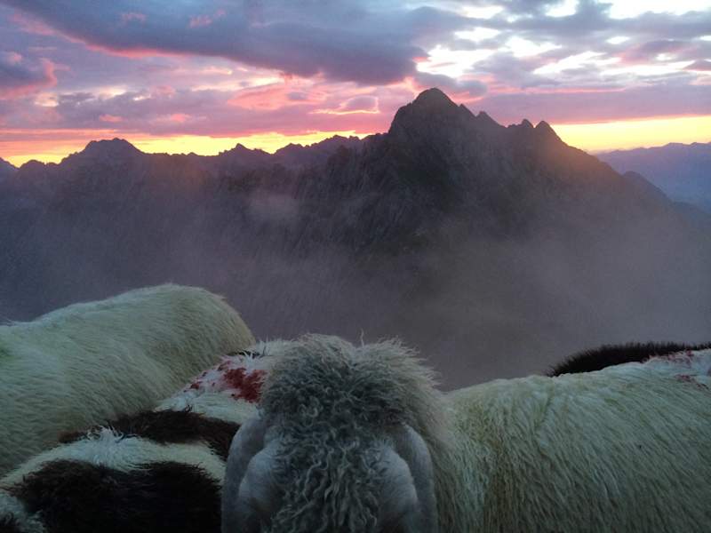 Morgenglühen auf der Nordkette 