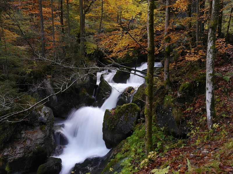 Nationalpark Gesäuse „Indian Summer“