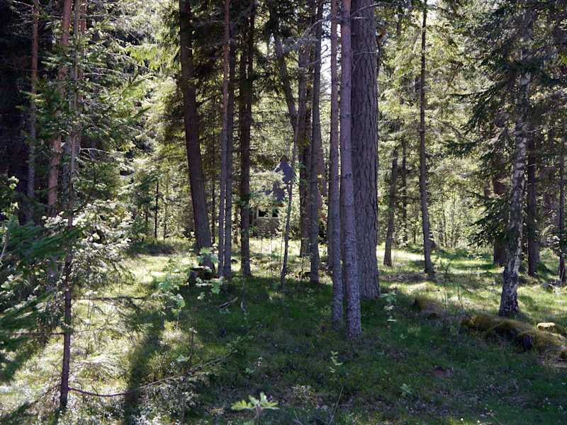 Käsmu Lahemaa Wandern