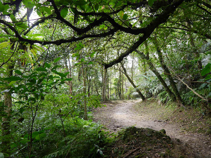 Taiwan Sandiaoling Waterfall Trail Martin Foszczynski