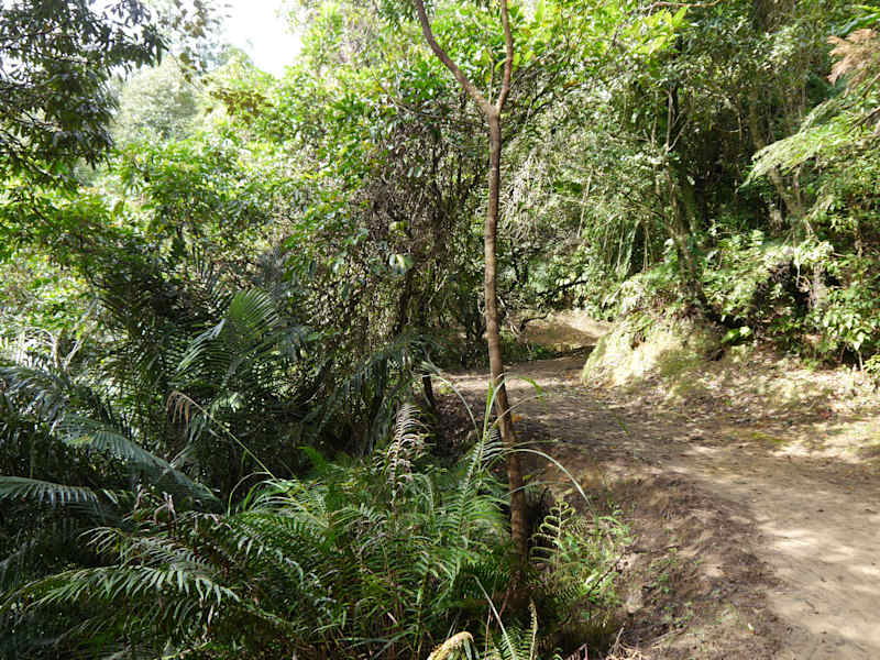 Taiwan Sandiaoling Waterfall Trail Martin Foszczynski