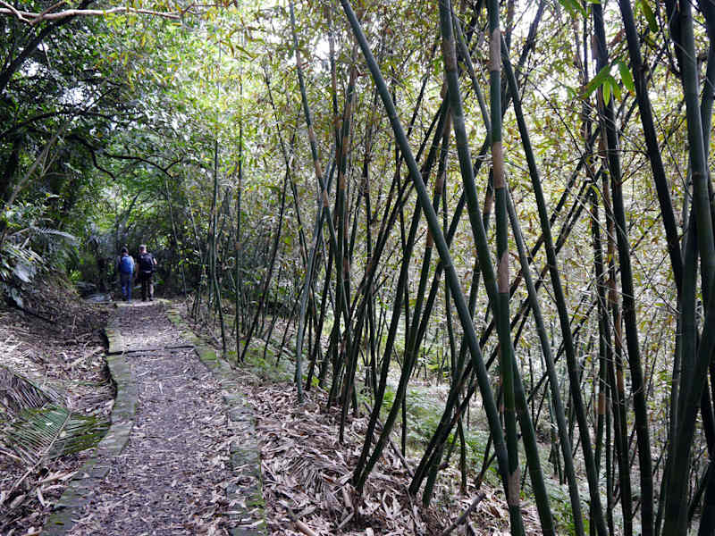 Taiwan Sandiaoling Waterfall Trail Martin Foszczynski