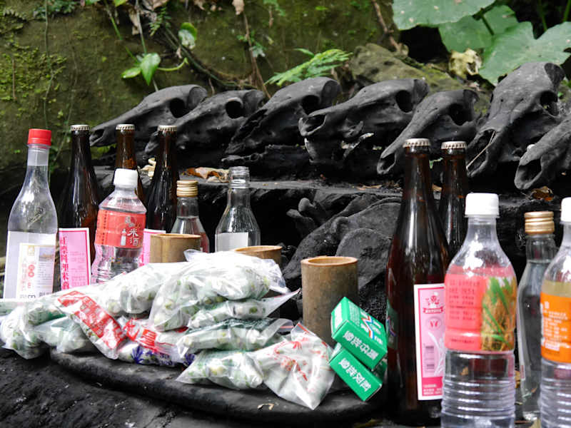 Luan Shan Forest Museum Taiwan Blog Martin Foszczynski