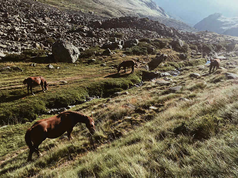 Ana Zirner Pyrenäen