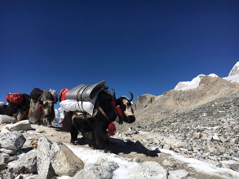 Kammerlander Keck Manaslu
