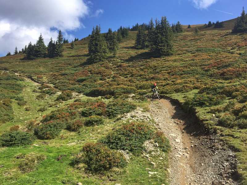 Herbststimmung am Hackelberg Trail