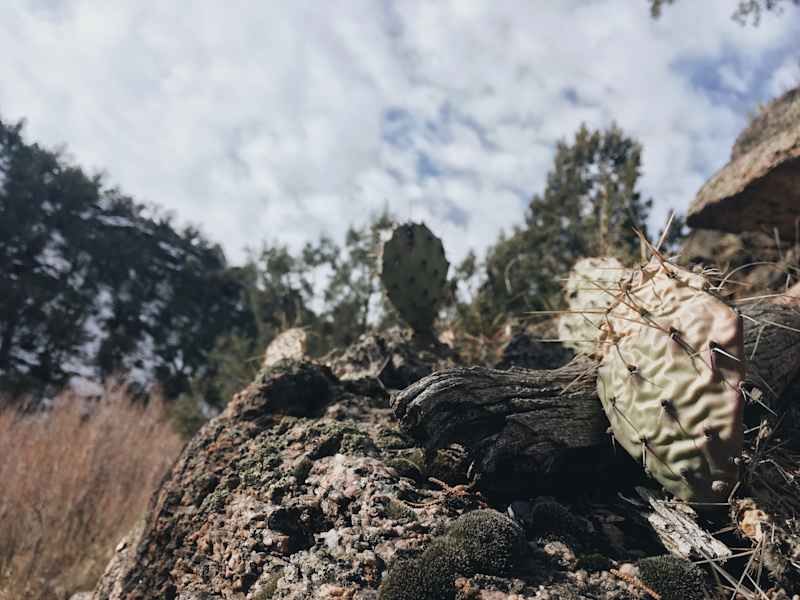 Ana Zirner Colorado River