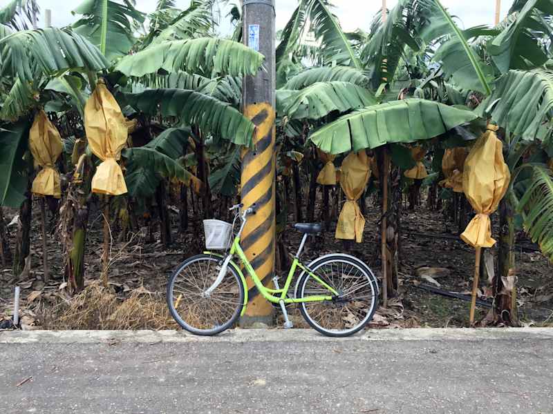 Foto-Galerie: Reise Taiwan